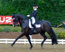 dressage horse Royal Diamond 10 (Oldenburg, 1999, from Rohdiamant)