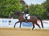 dressage horse Farell Royal (Oldenburg, 2009, from Fackeltanz Old)