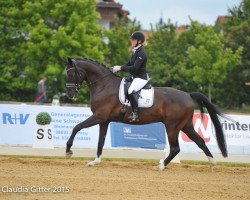 dressage horse Farell Royal (Oldenburg, 2009, from Fackeltanz Old)