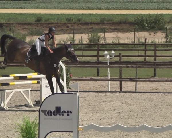 Reitturnier Worms-Pfeddersheim / Reitsportanlage Wittemer 2020