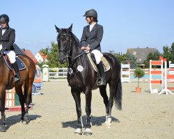 jumper Evora S (Hanoverian, 2004, from Escudo I)