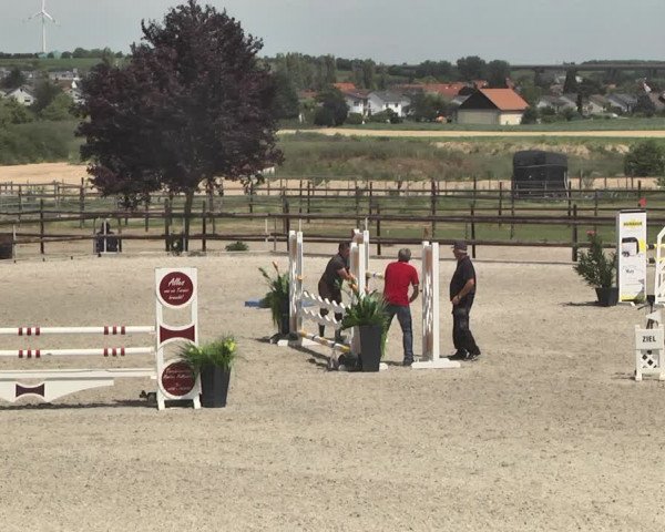 Reitturnier Worms-Pfeddersheim / Reitsportanlage Wittemer 2020