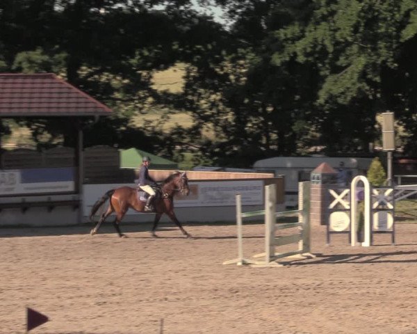 Reitturnier Lgl.-Oberhain, B95 2020
