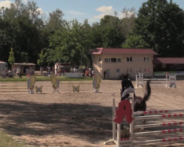 Reitturnier Lgl.-Oberhain, B95 2020