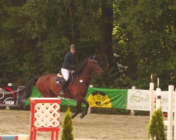 Reitturnier Losheim 2020