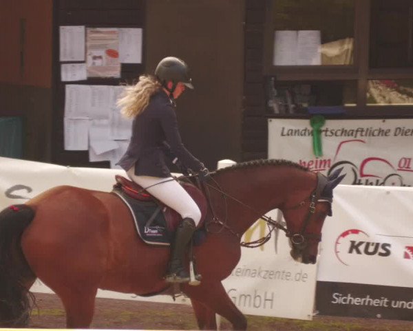 Reitturnier Losheim 2020