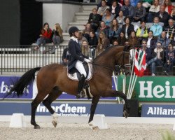 dressage horse Tiamo (KWPN (Royal Dutch Sporthorse), 2000, from Lester)