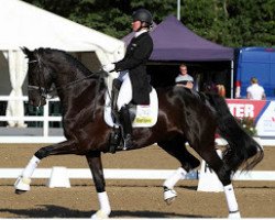 dressage horse Rubins Nite (Hanoverian, 2004, from Rubin Royal OLD)