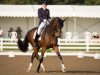 dressage horse Rubin Al Asad (Hanoverian, 2002, from Rubin Royal OLD)