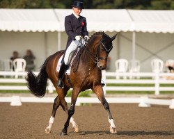 dressage horse Rubin Al Asad (Hanoverian, 2002, from Rubin Royal OLD)