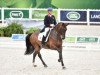 dressage horse Nip Tuck (KWPN (Royal Dutch Sporthorse), 2004, from Don Ruto)