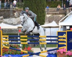 stallion Caspar 232 (Oldenburg show jumper, 2006, from Berlin)