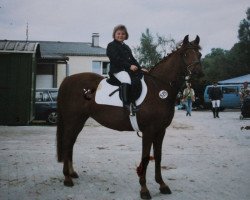 Zuchtstute Goldfee 303 (Deutsches Reitpony, 1986, von Valencianer)