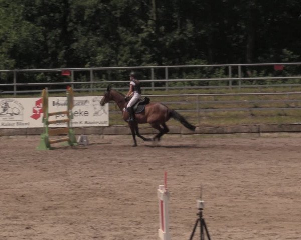 Reitturnier Lgl.-Oberhain, B95 2020