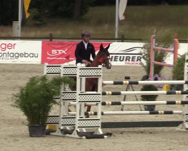 Reitturnier Westergellersen - Luhmühlen 2020