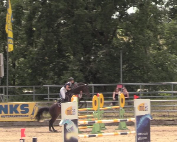 Reitturnier Lgl.-Oberhain, B95 2020