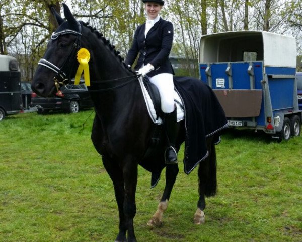 dressage horse King Louis A (Oldenburg, 2004, from King Arthur TSF)