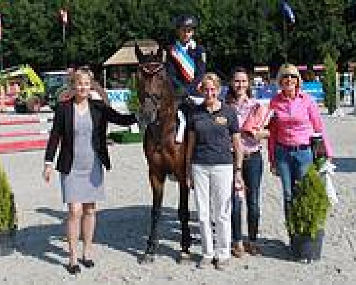 Deckhengst Mas Que Nada 4 (Deutsches Reitpony, 2007, von Monet)
