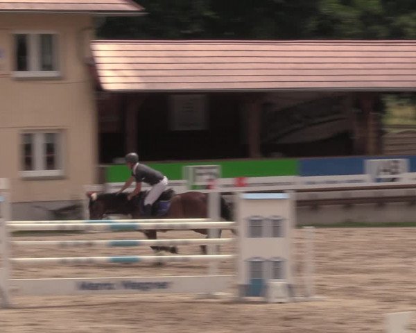 Reitturnier Lgl.-Oberhain, B95 2020