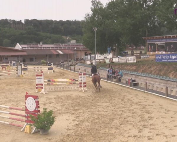Reitturnier Uder, Reitanlage Kobold 2020