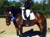 dressage horse Lauries' Luigi (Hanoverian, 2008, from Lauries Crusador xx)