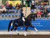 dressage horse Half Moon Delicato (Hanoverian, 2002, from Di Caprio)