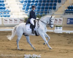 dressage horse CPH Valerius Waltermeyer (unknown, 2001)