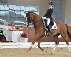 dressage horse Rodrigo III (Hanoverian, 2000, from Rotspon)