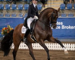 dressage horse Diamantina 4 (Oldenburger, 2002, from Diamond Hit)