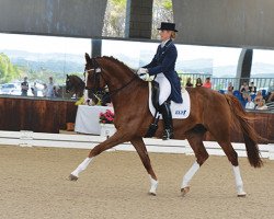 dressage horse Amicelli Gold (German Sport Horse, 2003, from Abanos)