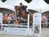 jumper Gaetano Musterd (KWPN (Royal Dutch Sporthorse), 2011, from Darco)