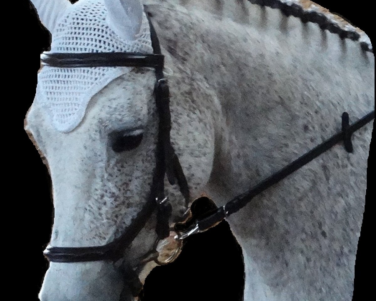 jumper Shannon's Surprise (Connemara Pony, 2004, from Derrymore Duncan)