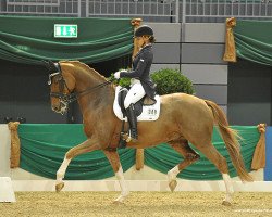 dressage horse Lucky (Oldenburg, 2005)