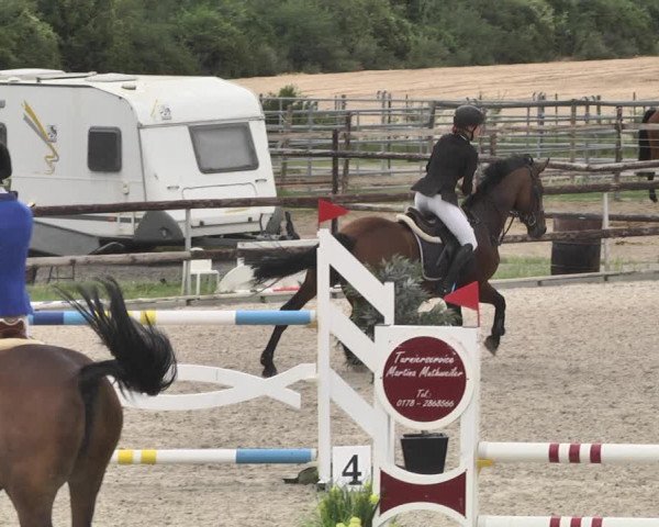 Reitturnier Worms-Pfeddersheim / Reitsportanlage Wittemer 2020
