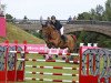 jumper Heliodor Hybris (Belgian Warmblood, 2007, from Diamant de Semilly)