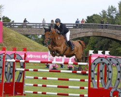 Springpferd Heliodor Hybris (Belgisches Warmblut, 2007, von Diamant de Semilly)