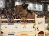 Springpferd Emperio van 't Roosakker (Belgisches Warmblut, 2004, von Nabab de Rêve)