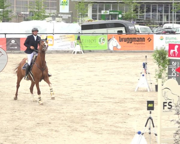 Reitturnier Gossau (Stall Sommersweid) 2020