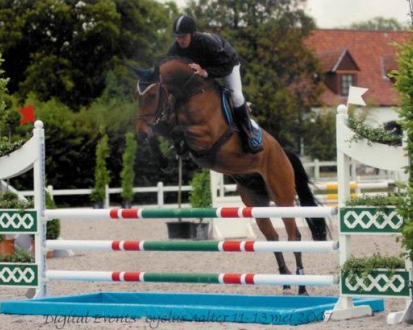 jumper Saint-German (Hanoverian, 2003, from Stakkato)