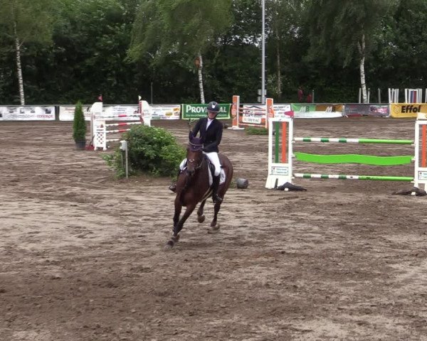 Reitturnier Seppenrade 2020