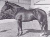 stallion Colombo (Holsteiner, 1960, from Cottage Son xx)