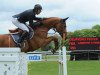 jumper Leontine Ledimar Z H D C (Zangersheide riding horse, 2007, from Lovefever II)