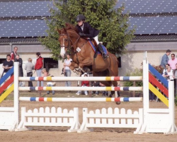 horse Samson (Oldenburg, 1994, from Silvio I)