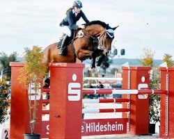 jumper Cobainien Blue (Hanoverian, 2008, from Chacco-Blue)