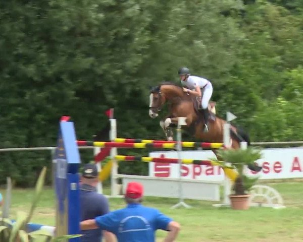 Reitturnier Hahnbach/Opf. 2020