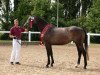 jumper Peaches GE (German Sport Horse, 2012, from Quick Amour GE)