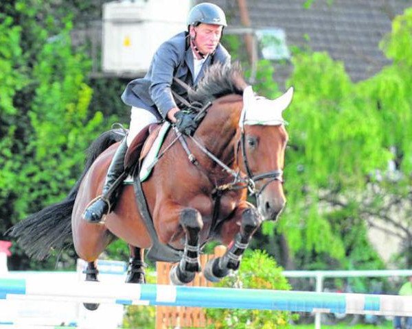 broodmare Barcza (Hungarian Warmblood, 2005, from Corofino II)