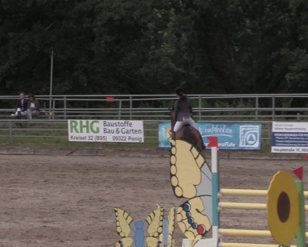 Reitturnier Lgl.-Oberhain, B95 2020