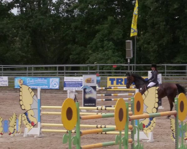 Reitturnier Lgl.-Oberhain, B95 2020