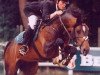 stallion Kooihuster Teake (Nederlands Welsh Ridepony, 1988, from Vita Nova's Hanassie)